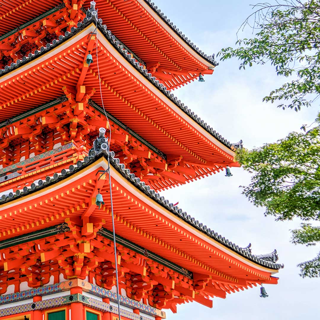 Maestría Satori Shihan - Ayün Escuela de Reiki®